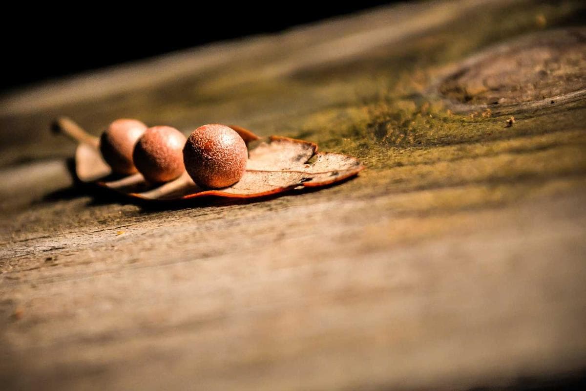 Preview of Minimal template