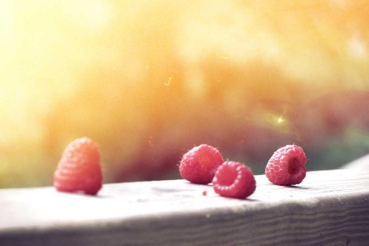 Preview of Scholarly template